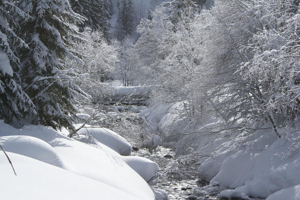 Wastingerhof Lägenhet Obertilliach Exteriör bild